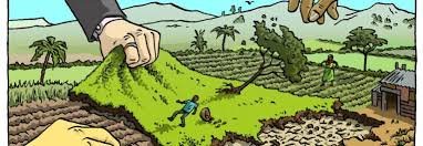 A young man planting crops on an American land grab rural plot with a cabin and solar panels in the background.