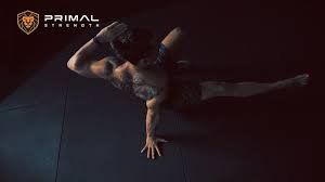 Animal Flow Primal Movement – Unleash Raw Functional Strength