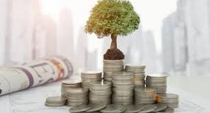 Financial Discipline