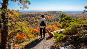 Nature Hikes