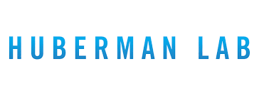 The Huberman Lab 1