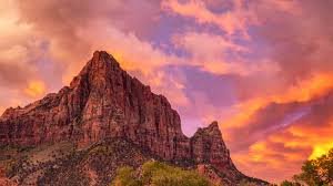 Zion 1
