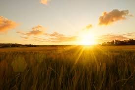 a sunrise over your own land