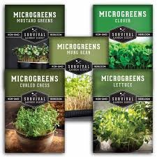 Seed starter pack microgreens herbs