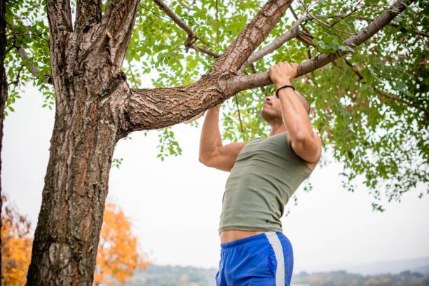 Tree Branch Pull Ups Climbing
