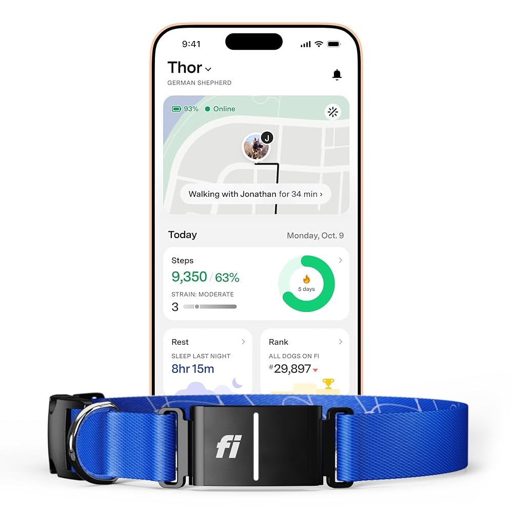The Fi Smart Dog Collar